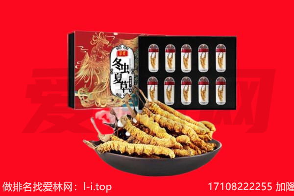 昆明市回收虫草.jpg